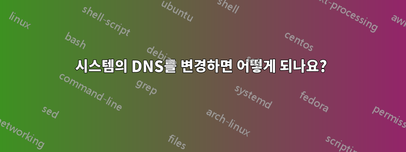 시스템의 DNS를 변경하면 어떻게 되나요?