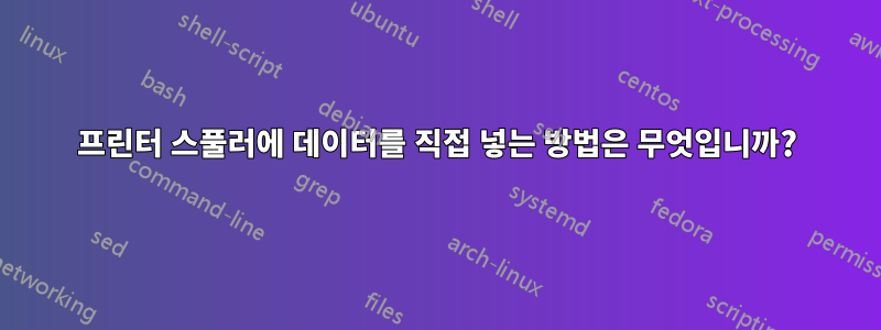 프린터 스풀러에 데이터를 직접 넣는 방법은 무엇입니까?