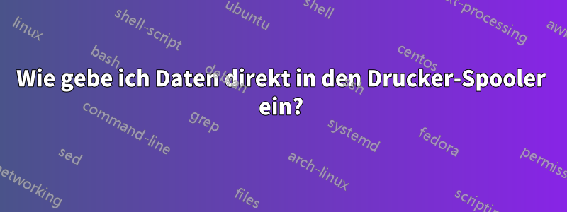 Wie gebe ich Daten direkt in den Drucker-Spooler ein?