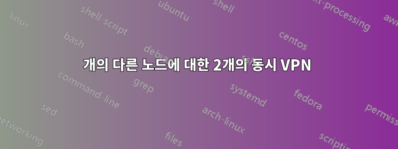 2개의 다른 노드에 대한 2개의 동시 VPN