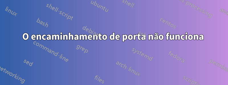 O encaminhamento de porta não funciona