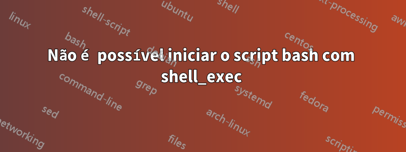 Não é possível iniciar o script bash com shell_exec