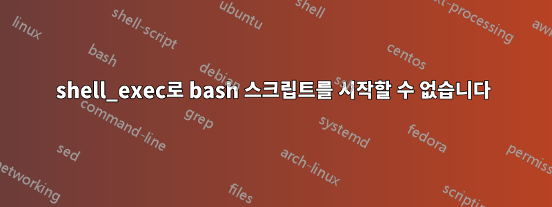 shell_exec로 bash 스크립트를 시작할 수 없습니다