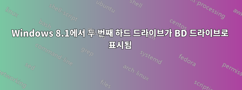 Windows 8.1에서 두 번째 하드 드라이브가 BD 드라이브로 표시됨