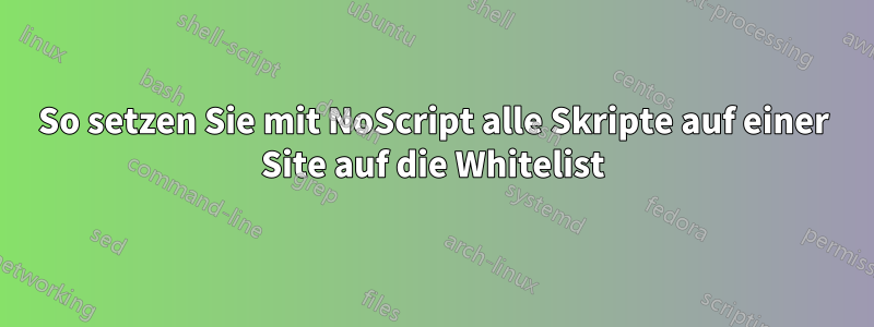 So setzen Sie mit NoScript alle Skripte auf einer Site auf die Whitelist