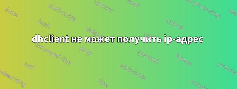 dhclient не может получить ip-адрес