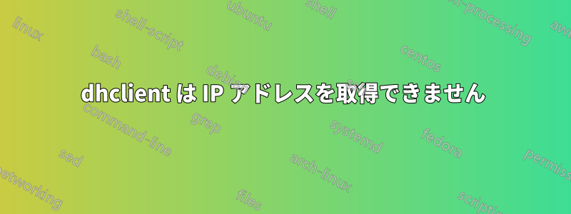 dhclient は IP アドレスを取得できません