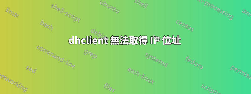 dhclient 無法取得 IP 位址