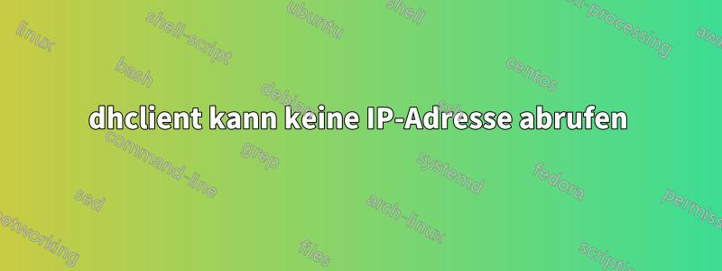 dhclient kann keine IP-Adresse abrufen