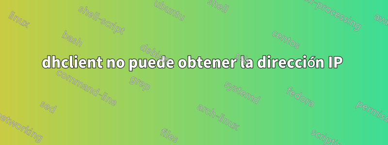 dhclient no puede obtener la dirección IP