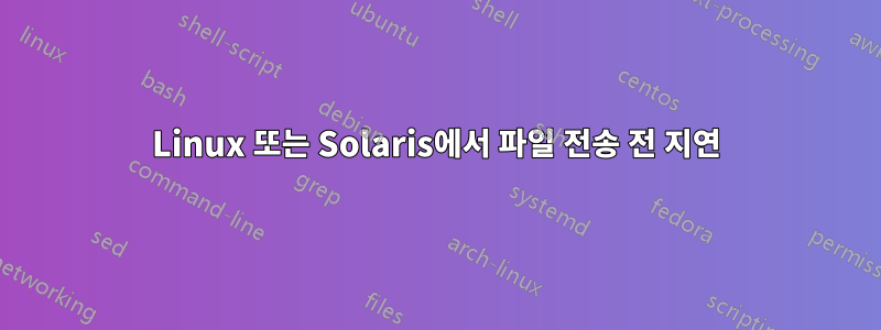 Linux 또는 Solaris에서 파일 전송 전 지연