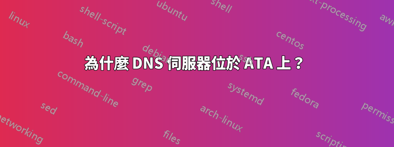 為什麼 DNS 伺服器位於 ATA 上？