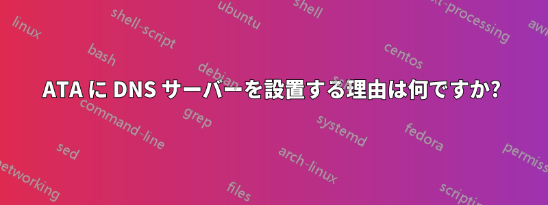ATA に DNS サーバーを設置する理由は何ですか?