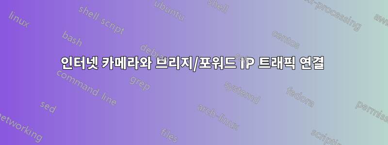 인터넷 카메라와 브리지/포워드 IP 트래픽 연결