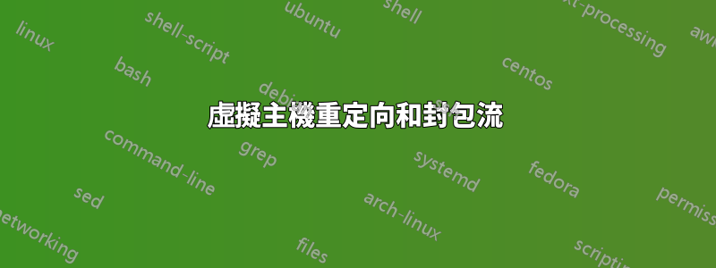 虛擬主機重定向和封包流
