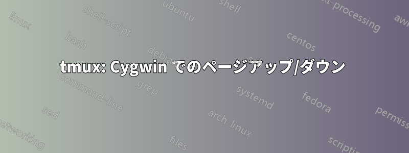 tmux: Cygwin でのページアップ/ダウン