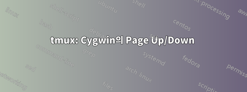 tmux: Cygwin의 Page Up/Down