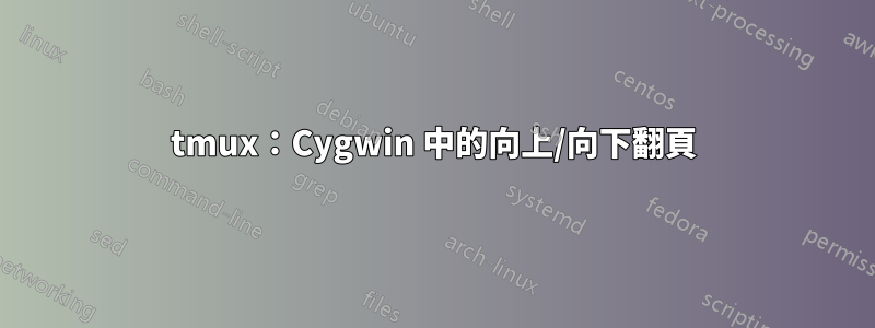 tmux：Cygwin 中的向上/向下翻頁