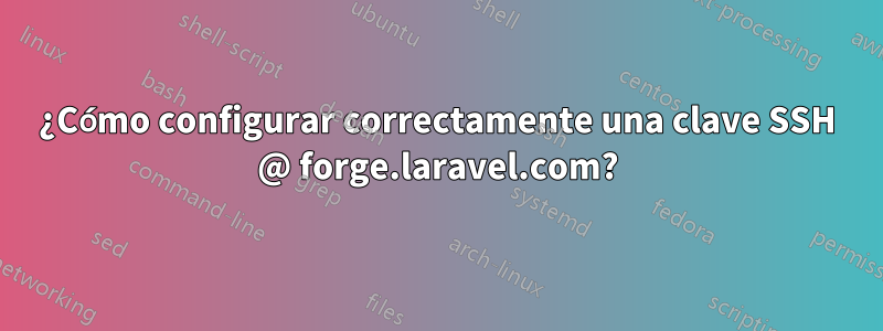 ¿Cómo configurar correctamente una clave SSH @ forge.laravel.com?