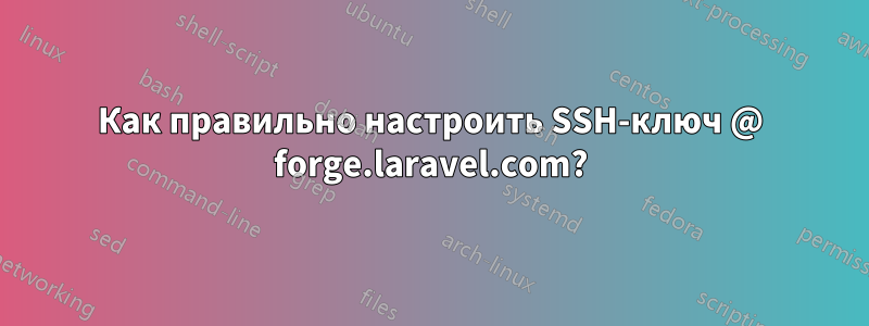 Как правильно настроить SSH-ключ @ forge.laravel.com?