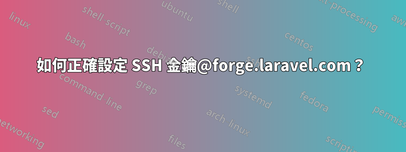 如何正確設定 SSH 金鑰@forge.laravel.com？
