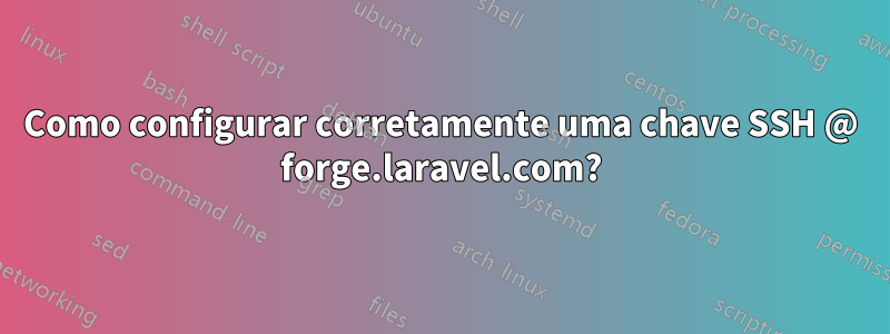 Como configurar corretamente uma chave SSH @ forge.laravel.com?