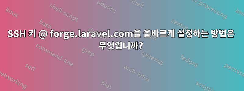 SSH 키 @ forge.laravel.com을 올바르게 설정하는 방법은 무엇입니까?