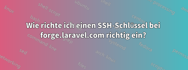Wie richte ich einen SSH-Schlüssel bei forge.laravel.com richtig ein?