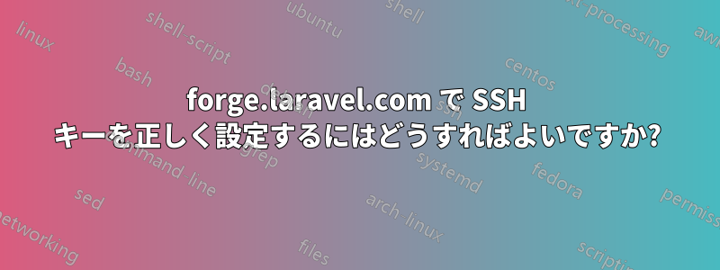 forge.laravel.com で SSH キーを正しく設定するにはどうすればよいですか?