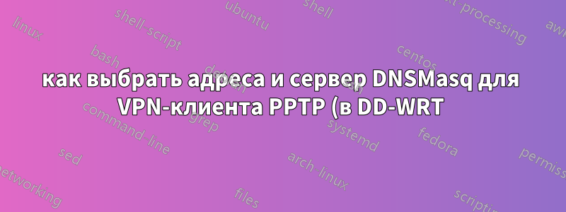 как выбрать адреса и сервер DNSMasq для VPN-клиента PPTP (в DD-WRT)?