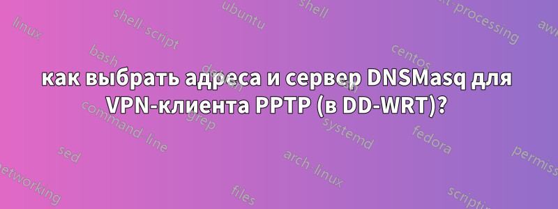 как выбрать адреса и сервер DNSMasq для VPN-клиента PPTP (в DD-WRT)?