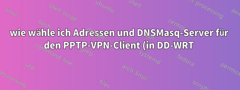 wie wähle ich Adressen und DNSMasq-Server für den PPTP-VPN-Client (in DD-WRT) aus?