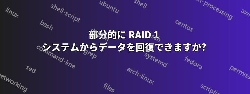 部分的に RAID 1 システムからデータを回復できますか?