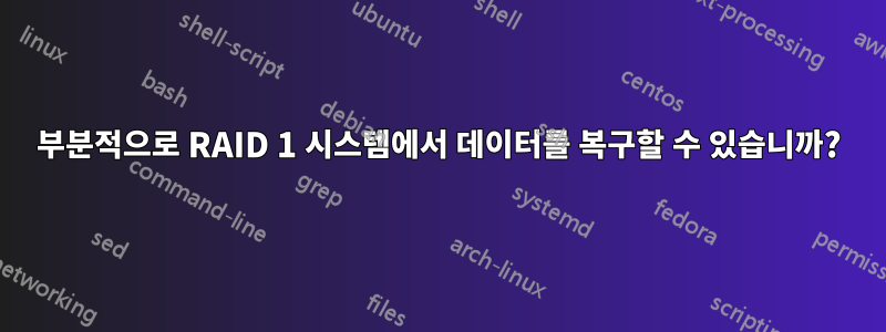 부분적으로 RAID 1 시스템에서 데이터를 복구할 수 있습니까?