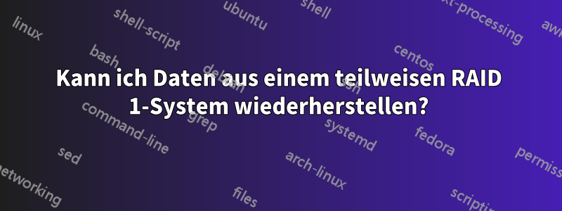 Kann ich Daten aus einem teilweisen RAID 1-System wiederherstellen?