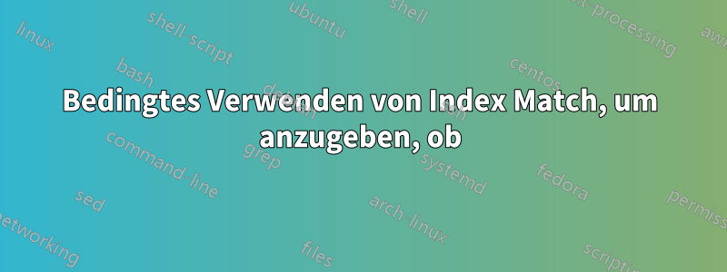 Bedingtes Verwenden von Index Match, um anzugeben, ob