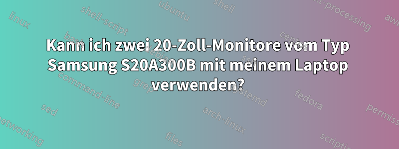 Kann ich zwei 20-Zoll-Monitore vom Typ Samsung S20A300B mit meinem Laptop verwenden?