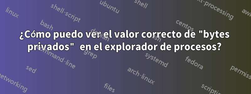 ¿Cómo puedo ver el valor correcto de "bytes privados" en el explorador de procesos?
