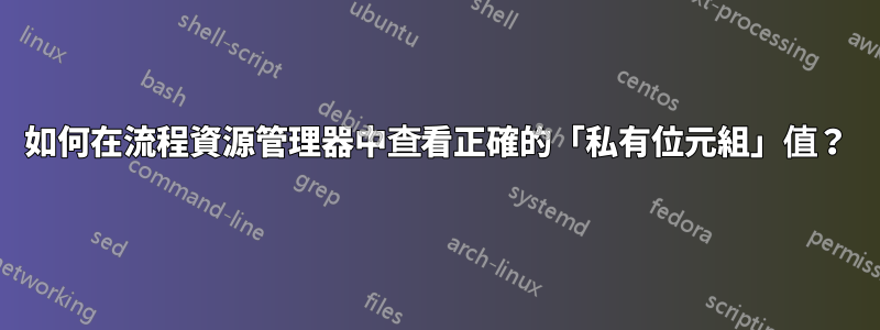 如何在流程資源管理器中查看正確的「私有位元組」值？