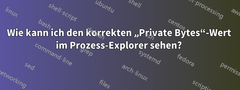 Wie kann ich den korrekten „Private Bytes“-Wert im Prozess-Explorer sehen?