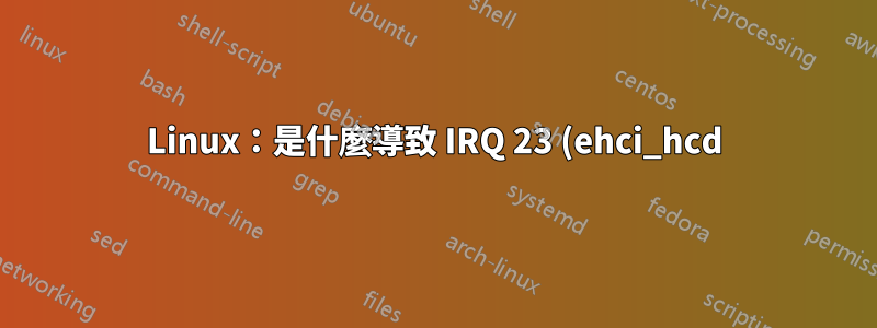 Linux:是什麼導致 IRQ 23 (ehci_hcd) 中斷活動頻繁?