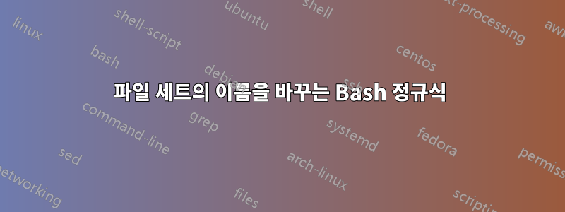 파일 세트의 이름을 바꾸는 Bash 정규식