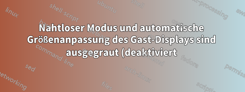 Nahtloser Modus und automatische Größenanpassung des Gast-Displays sind ausgegraut (deaktiviert) - VirtualBox