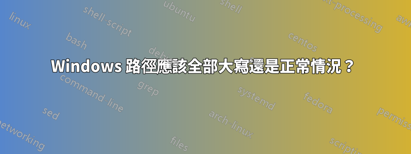 Windows 路徑應該全部大寫還是正常情況？