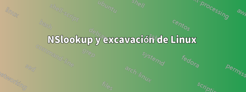 NSlookup y excavación de Linux
