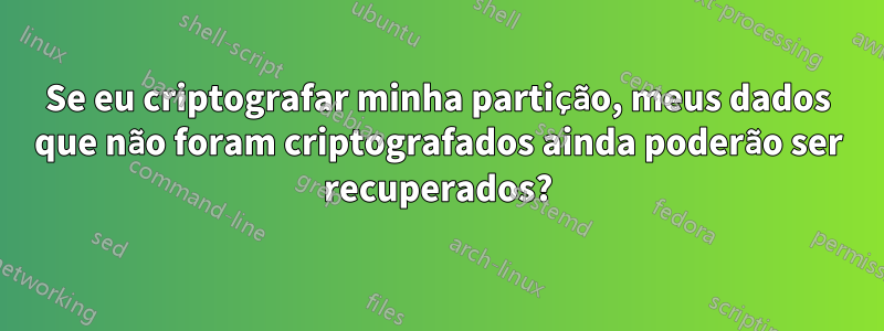 Se eu criptografar minha partição, meus dados que não foram criptografados ainda poderão ser recuperados?