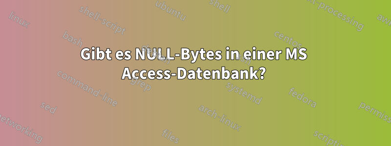 Gibt es NULL-Bytes in einer MS Access-Datenbank?