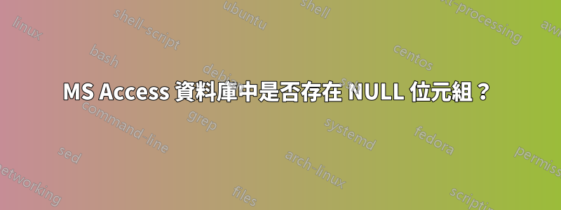 MS Access 資料庫中是否存在 NULL 位元組？
