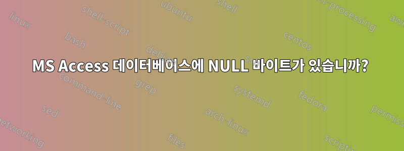 MS Access 데이터베이스에 NULL 바이트가 있습니까?