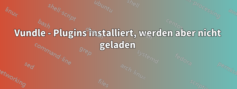 Vundle - Plugins installiert, werden aber nicht geladen
